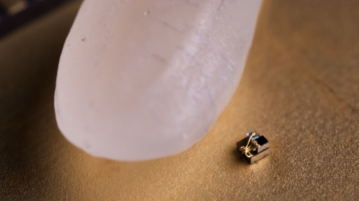 La computadora más pequeña del mundo es más diminuta que un grano de arroz Negocios en Salta