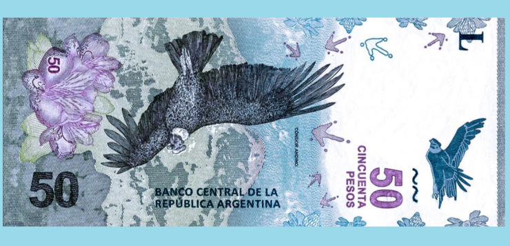 Negocios en Salta