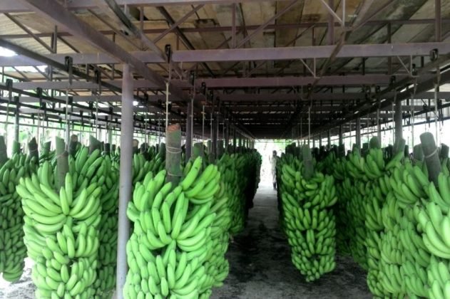 Negocios en Salta