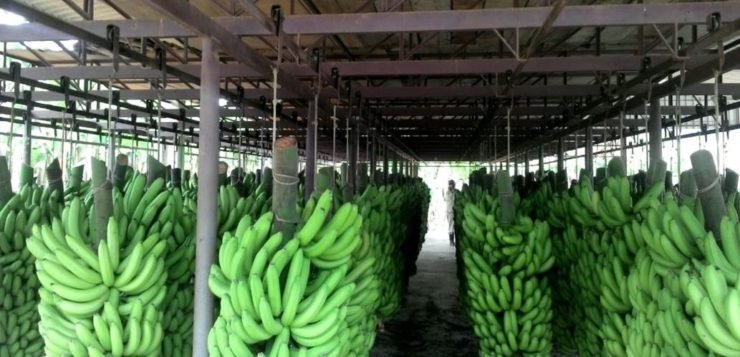 Negocios en Salta