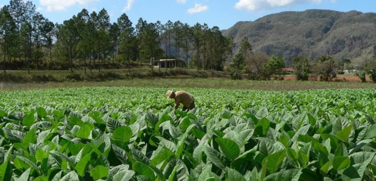 Negocios en Salta