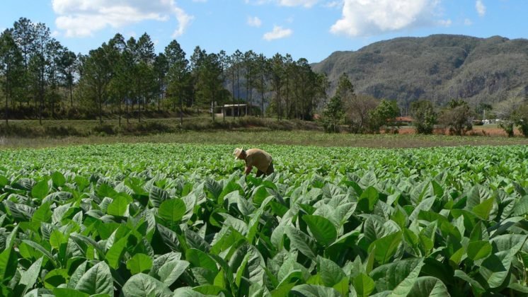 Negocios en Salta