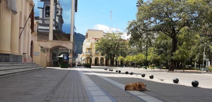 Negocios en Salta