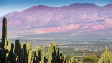 Negocios en Salta