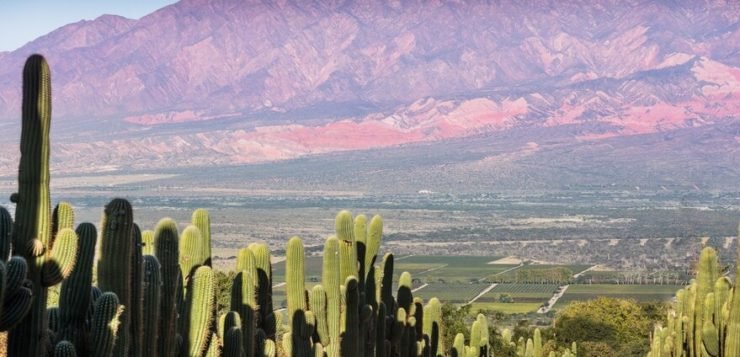 Negocios en Salta