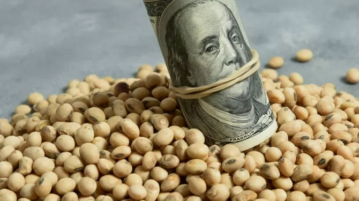 Agricultura descartó una nueva edición del “Dólar Soja”