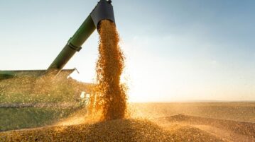 Exportaciones: estiman que todavía faltan comercializar granos por valor de USD 9.230 millones