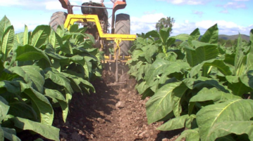 Iniciativa legislativa promueve la eficiencia en el agro y la producción salteña