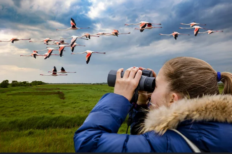 Turismo: presentaron los Bidding Book de observación de Aves, Moto Turismo  y Pesca Deportiva en Salta - Dossierweb