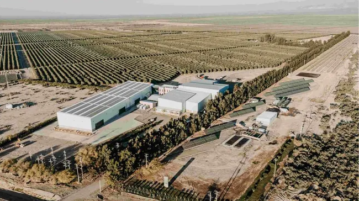Gigante del aceite de oliva invirtió u$s11 millones para quintuplicar su capacidad productiva