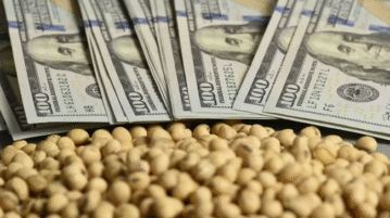 China firmó primera compra de harina de soja argentina ante amenaza de guerra comercial con EEUU